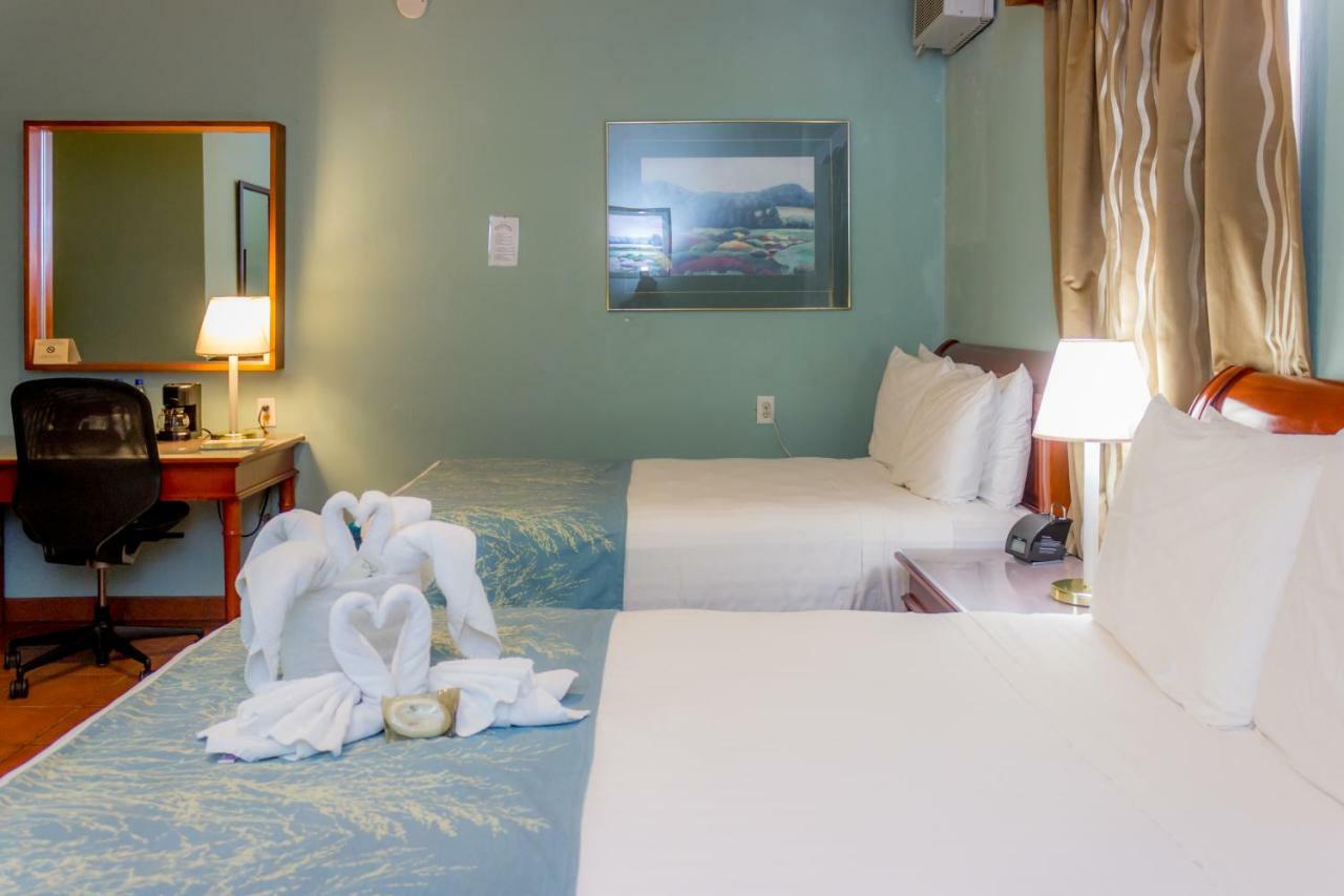 Rolson Hotel 산 이그나시오 외부 사진